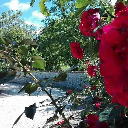 Agriturismo U Cannatiallu Amantea